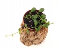 9f9f491aab94afc44e92d0844a5ffb26