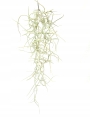 e30ecb5447d2a9917d4480ed59f6